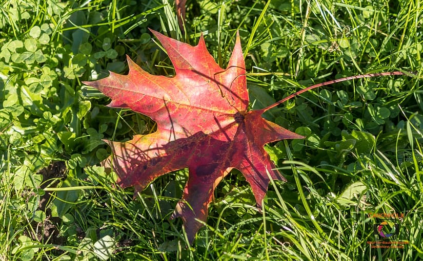 Fototagebuch Tag 13, 11